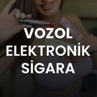 vozol elektronik sigara