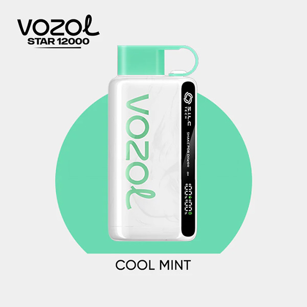 Vozol Star 12000 Cool Mint