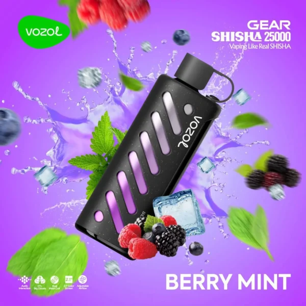 vozol 25000 Berry Mint